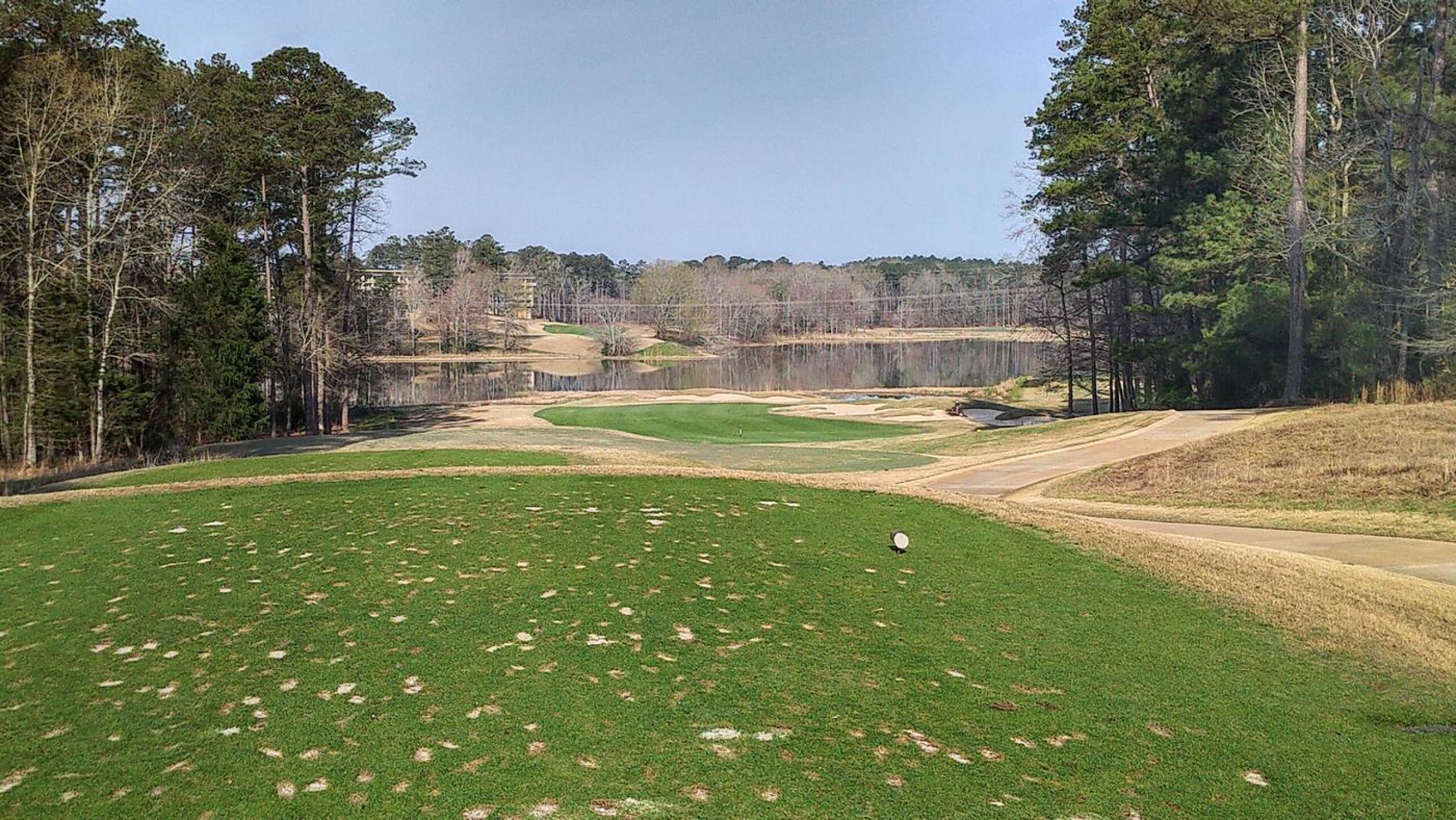 9th tee, Par 3 (Photo submitted by JayEmm on 03/13/2021)