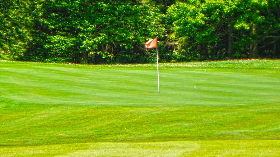 Swan Lake GCC