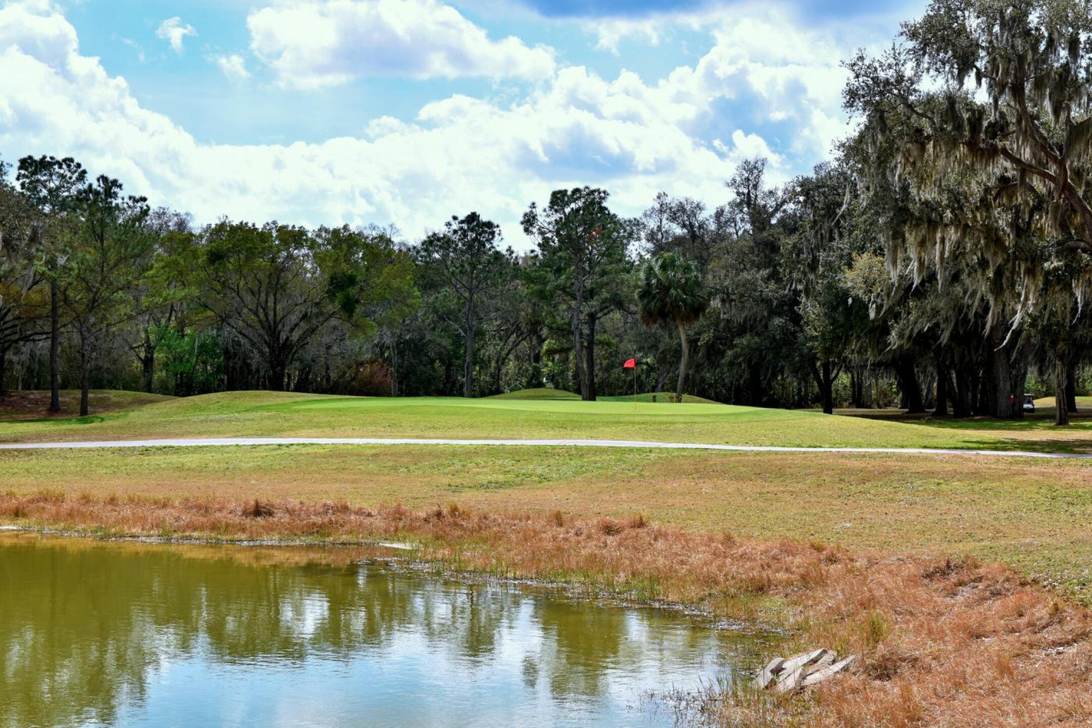 A superlative short par-3, the fourth features a raised and well-contoured green. (Photo submitted by AptlyLinked on 02/20/2026)