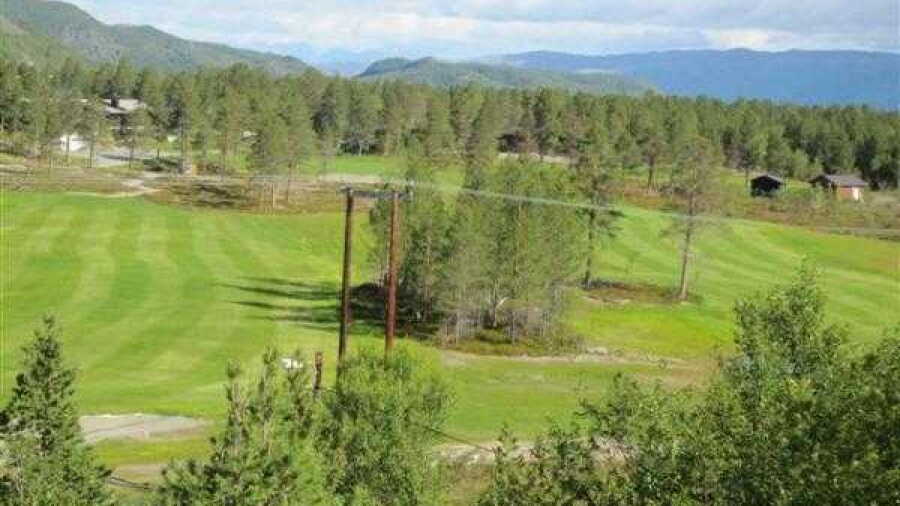 Alta GC