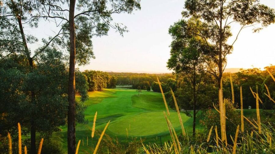 Tallwoods CC