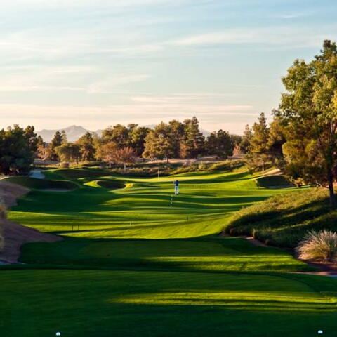 Desert Pines golf course
