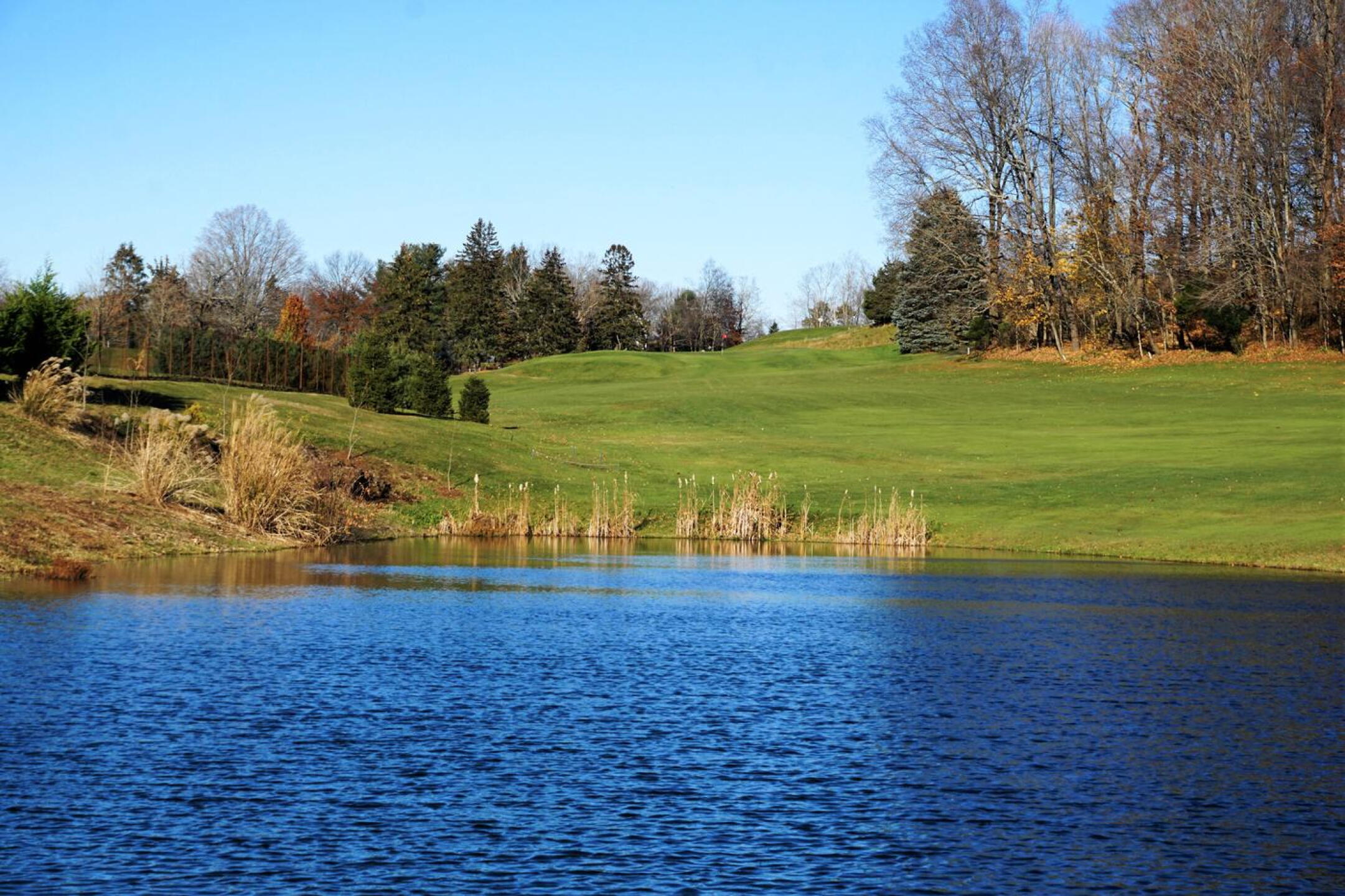 View of eight, which features an attractive pond but also OOB. The green is in the center of this picture. (Photo submitted by AptlyLinked on 11/25/2021)