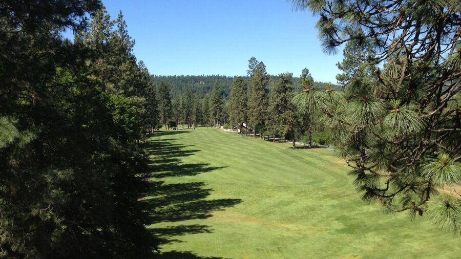 Downriver GC
