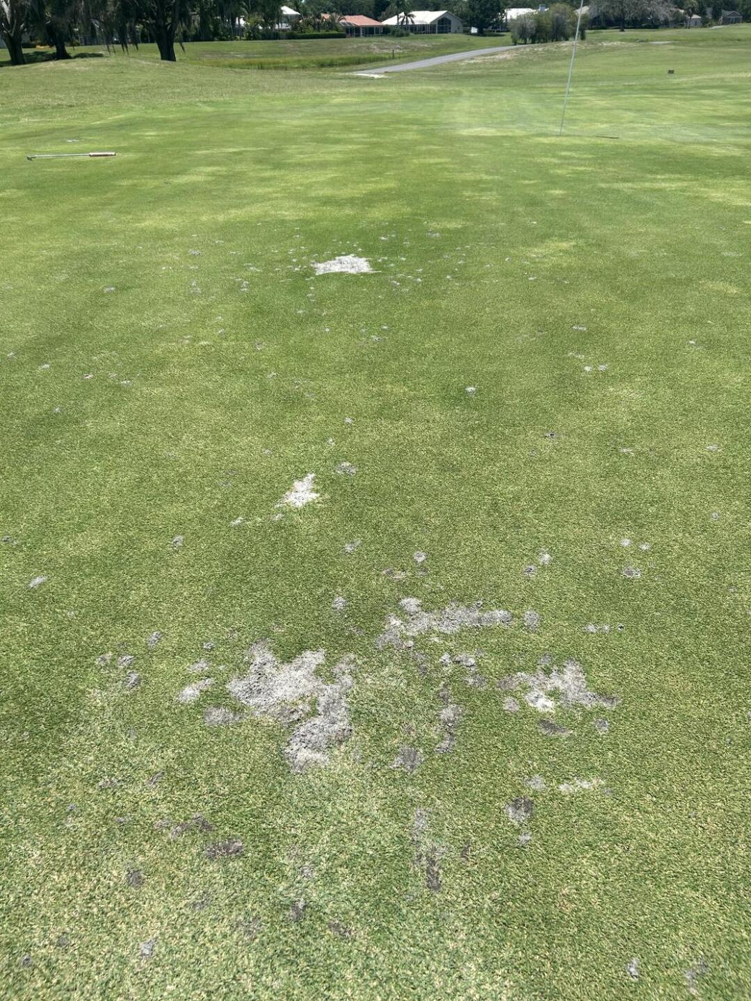 (Photo submitted by mattyward on 06/11/2023)