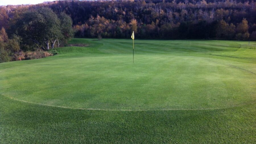 Bodo GC