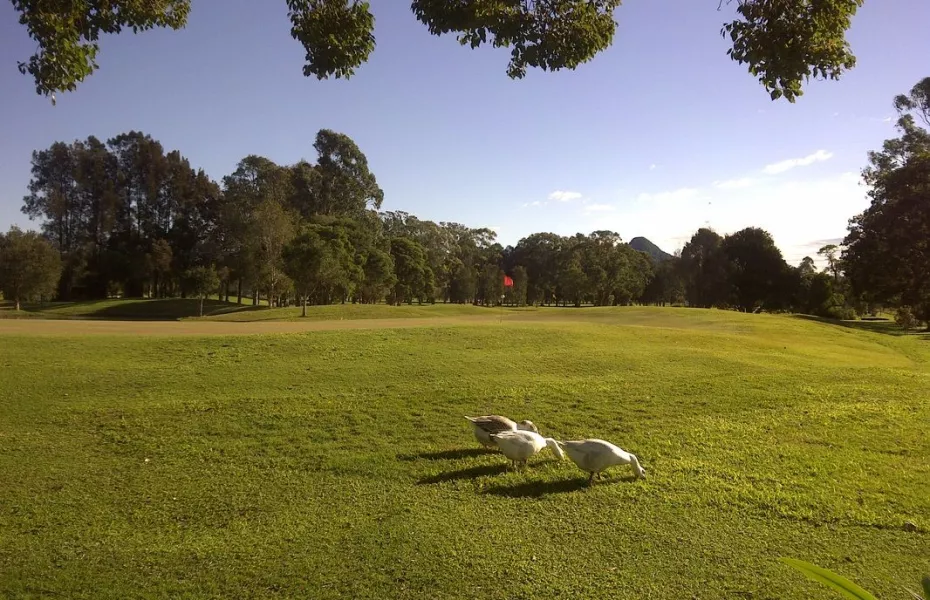 Mullumbimby GC