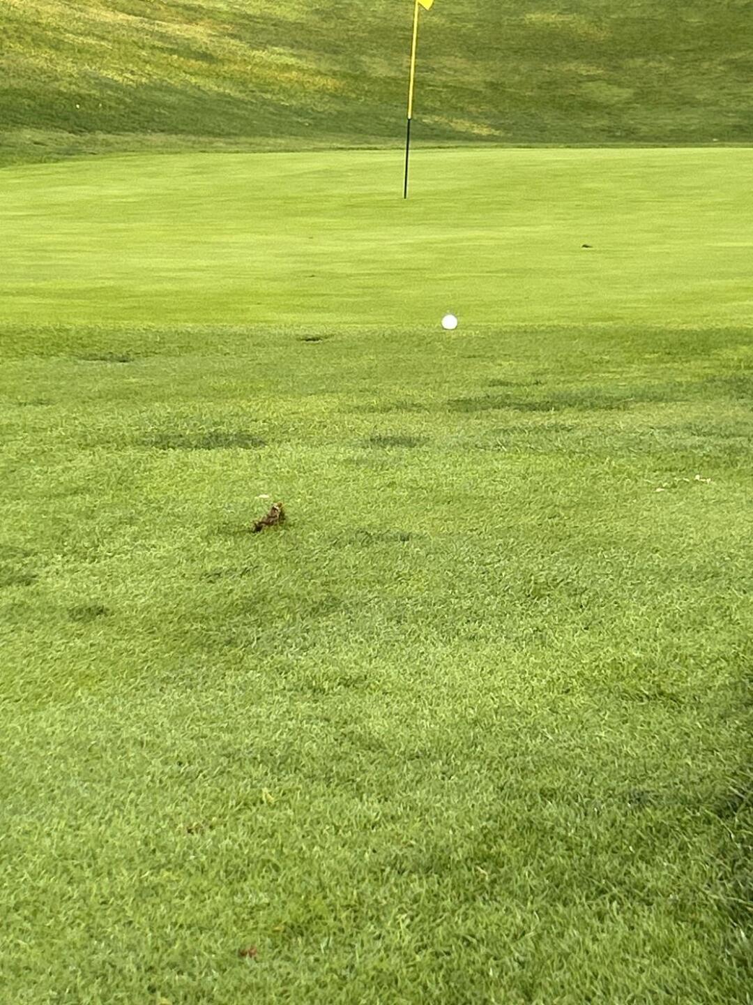 (Photo submitted by austinmalseed on 09/08/2024)