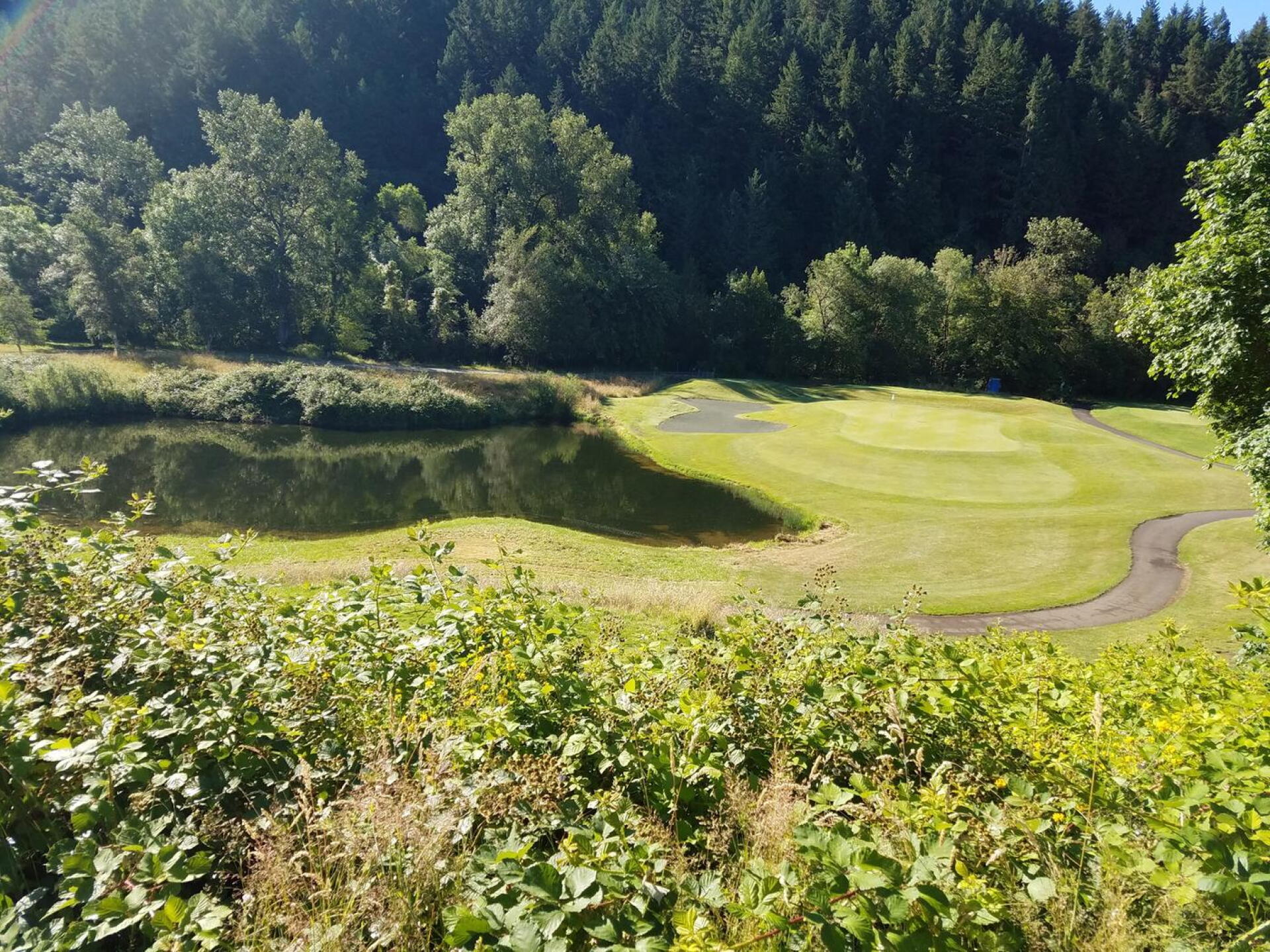Back 9 hole, Par 3 (Photo submitted by Titaniumhen on 07/22/2017)
