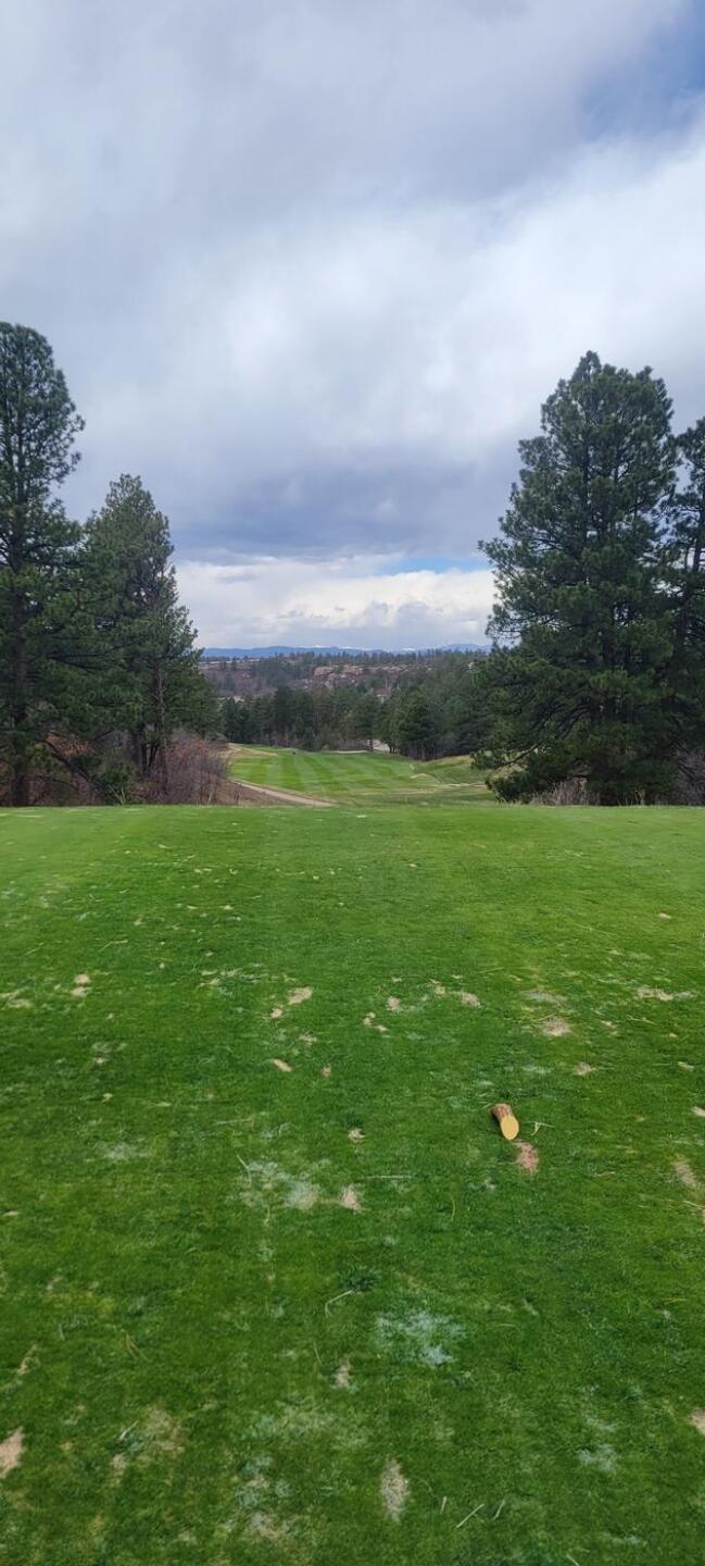 (Photo submitted by chilljr on 04/29/2023)