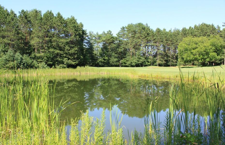 Whitefish Lake Golf Club in Pierson, Michigan, USA GolfPass