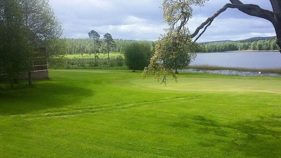 Hedemora GC