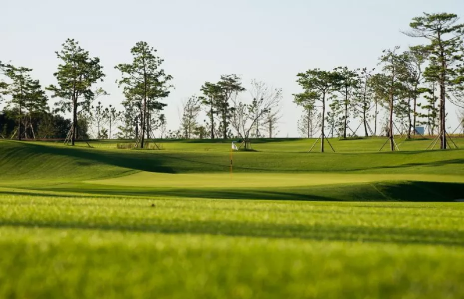 Bear's Best CheongNa GC