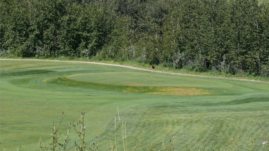 Tooth of the Dogpound Creek GC: #14