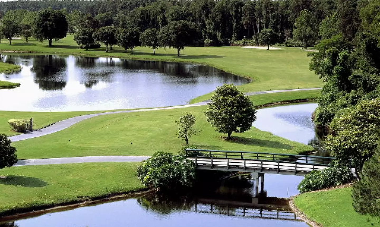Disney World's Magnolia Golf Course - No.17