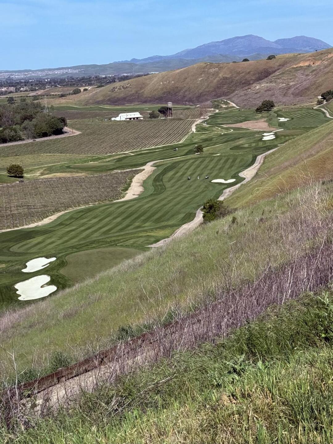 (Photo submitted by mmuncrief on 03/24/2026)