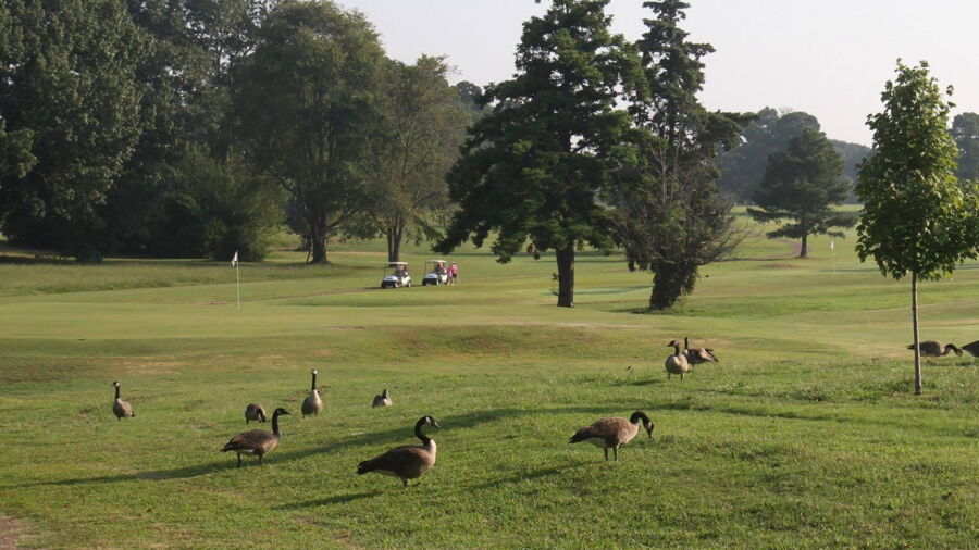 The Links at Audubon