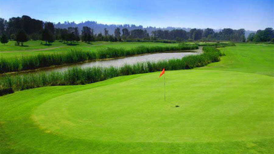 Sumner Meadows GL: #9