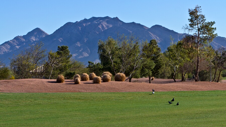 Stallion Mountain Golf Club in Las Vegas