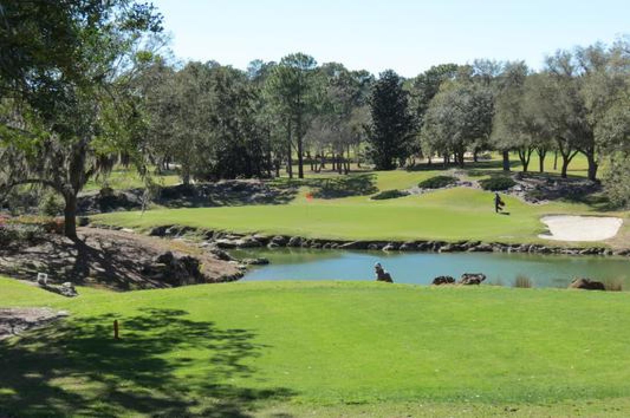 Hole # 8. Awesome !! (Photo submitted by strybosch on 02/19/2015)