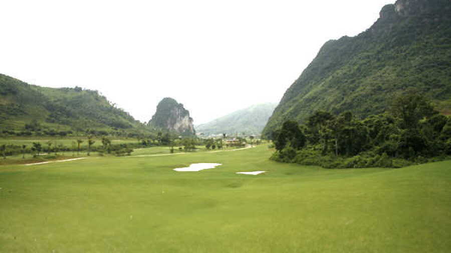 Phoenix GR - Dragon: #15