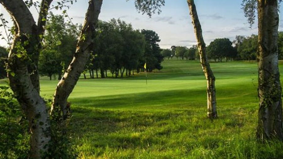 Sand Moor green