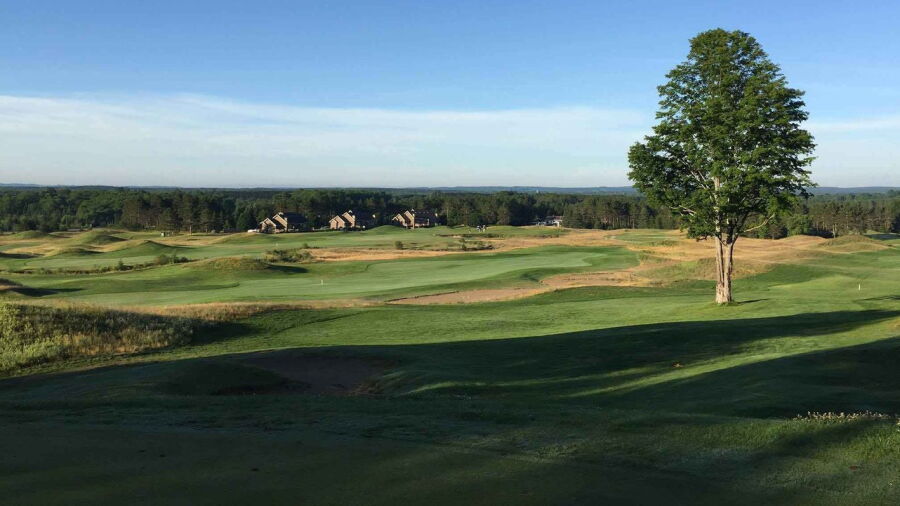 Black Bear GC