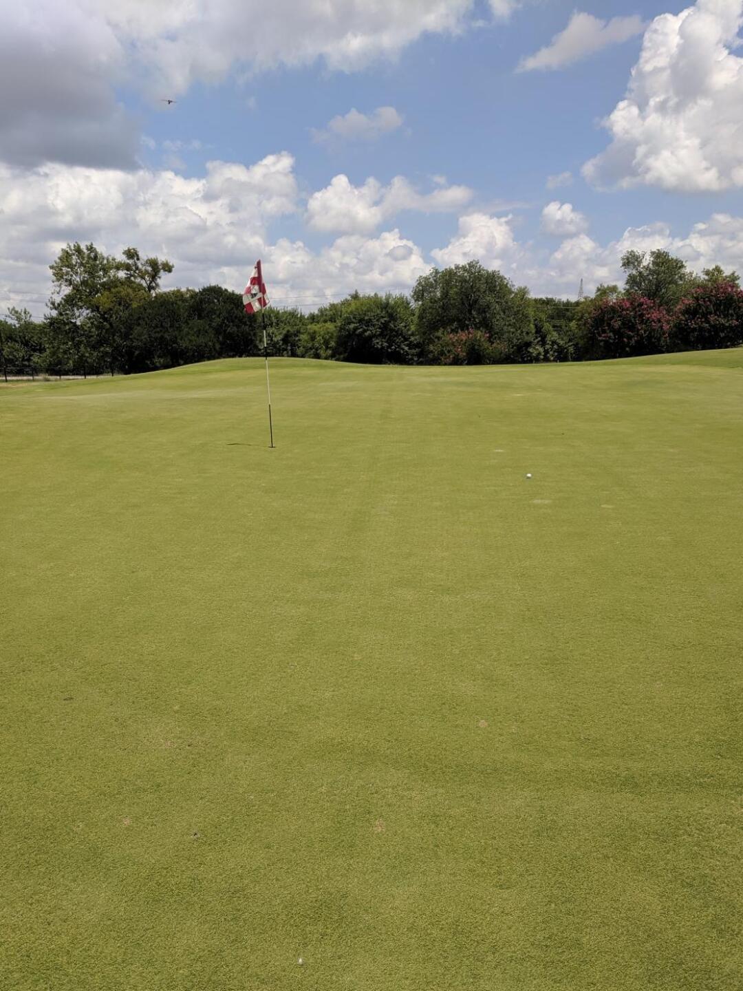 1st green, ball spun back 8 ft (Photo submitted by golfingbrock on 07/05/2019)