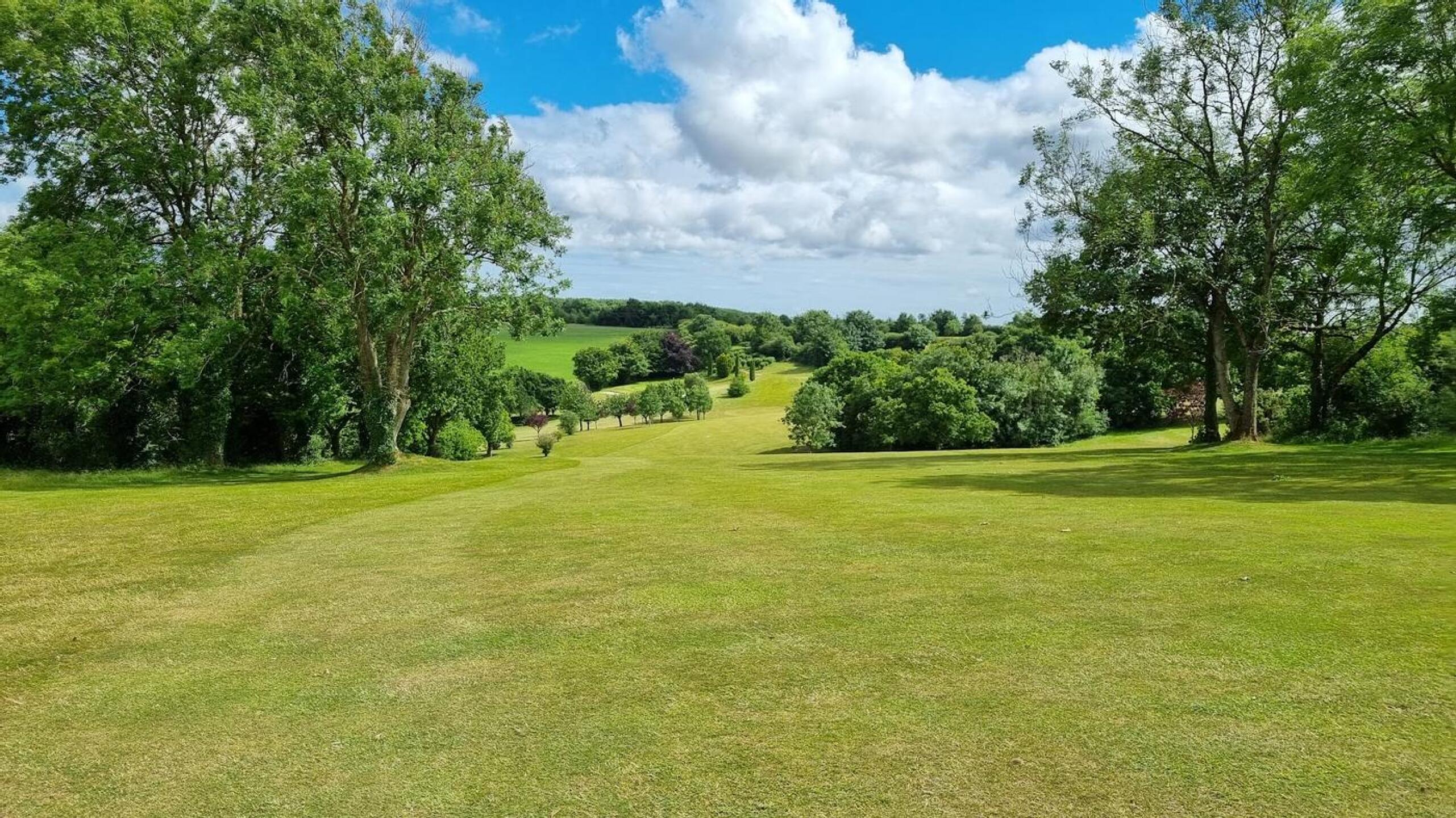 (Photo submitted by t564031762 on 07/03/2022)