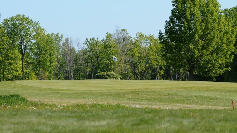 Gladwin Heights GC: #9