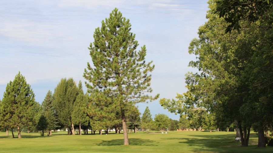 Redwater GC