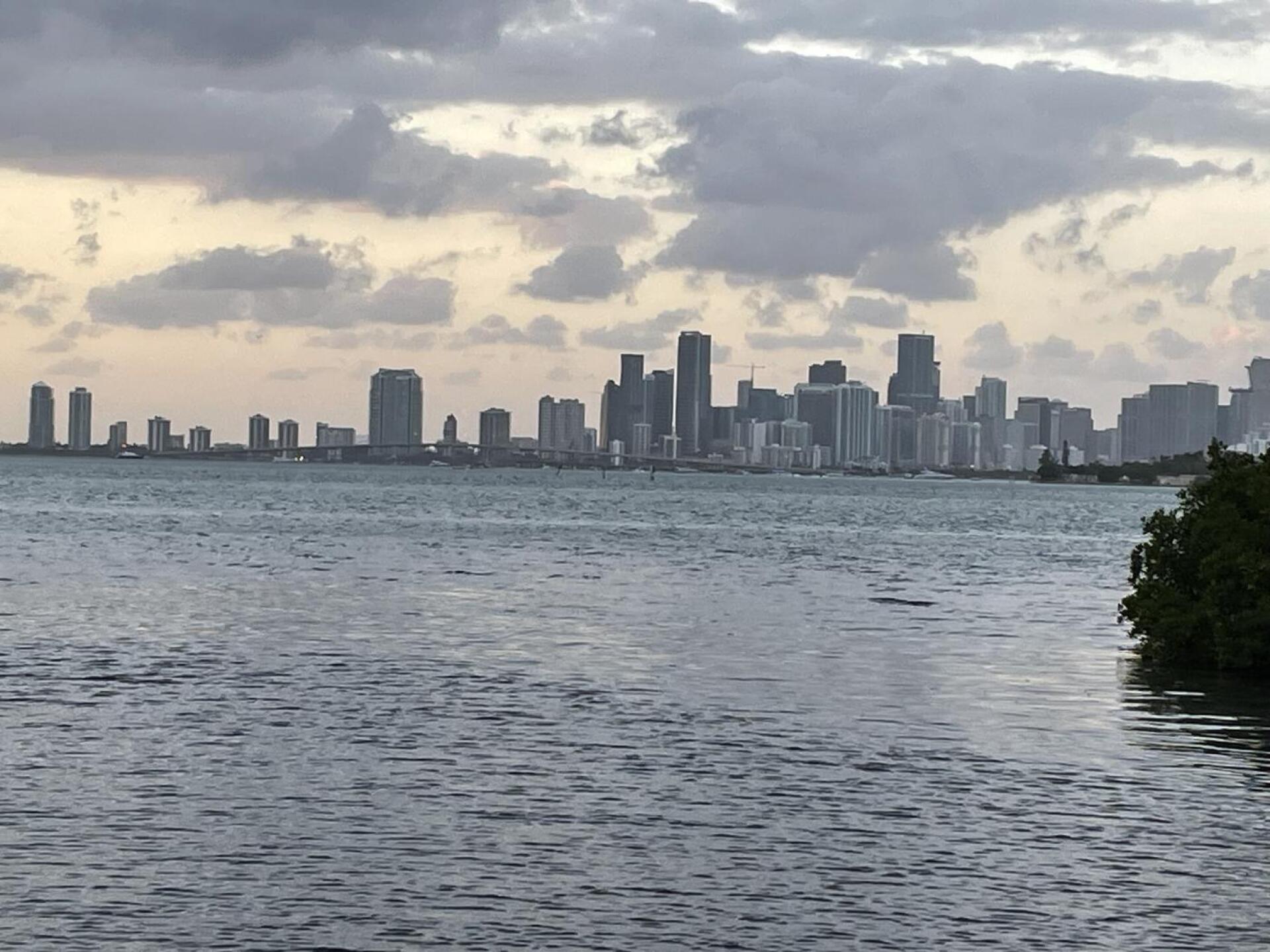 View of Miami (Photo submitted by u2918292 on 10/29/2023)