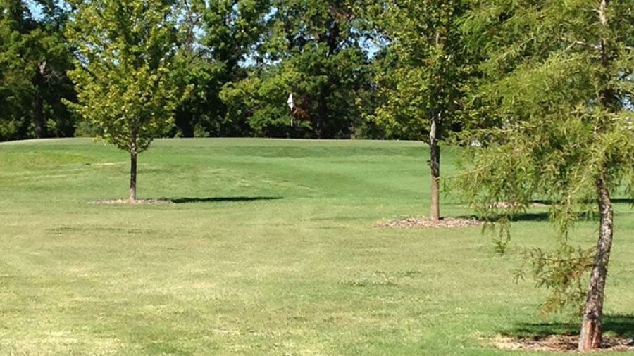 Wellington GC