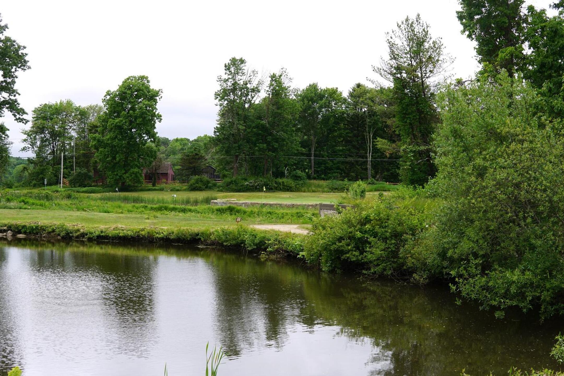 At nine the tee shot–which must cross water twice on its way to the green–is a doozy. (Photo submitted by AptlyLinked on 06/08/2023)