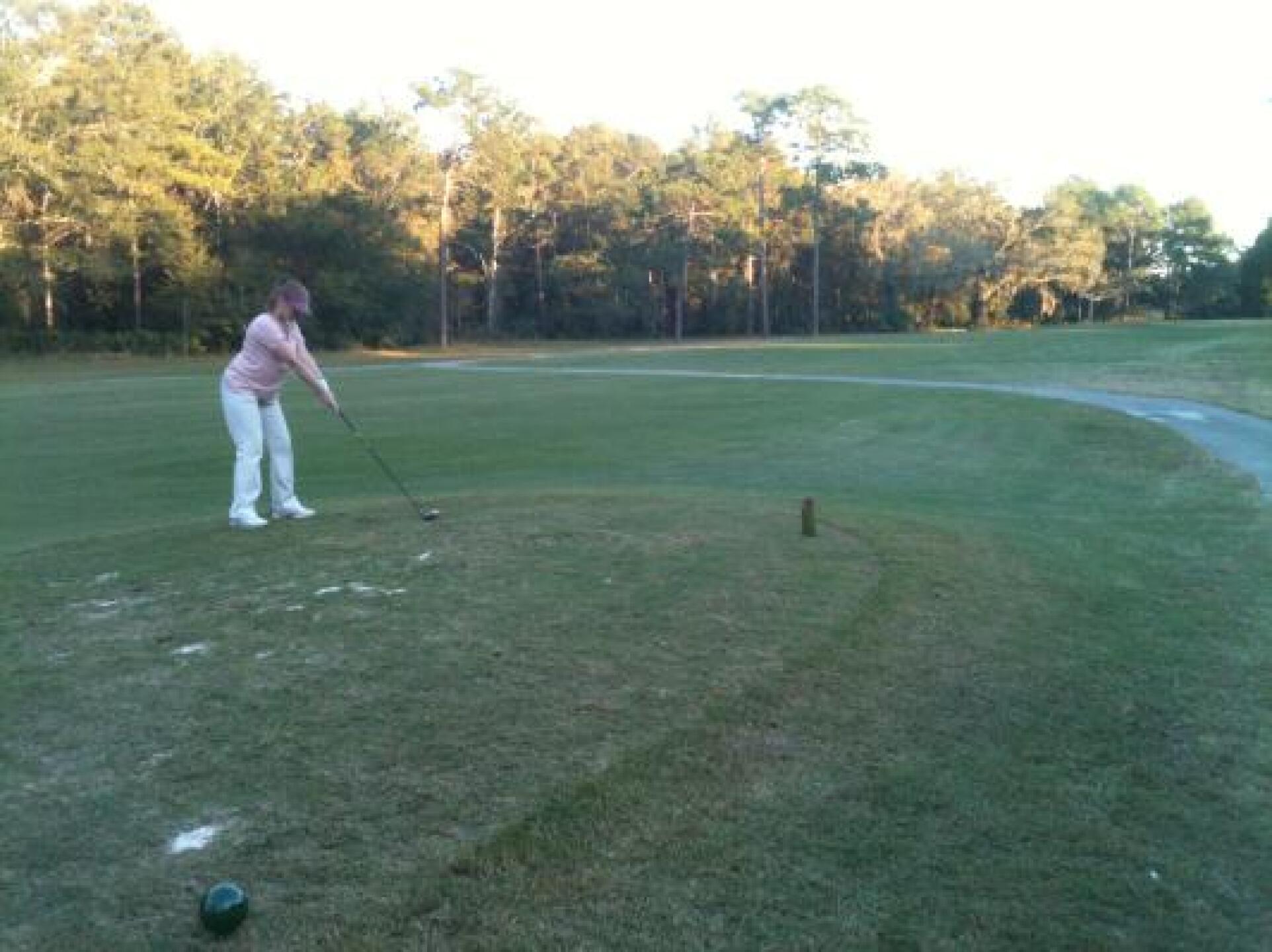 (Photo submitted by ElectraGilde on 11/13/2012)