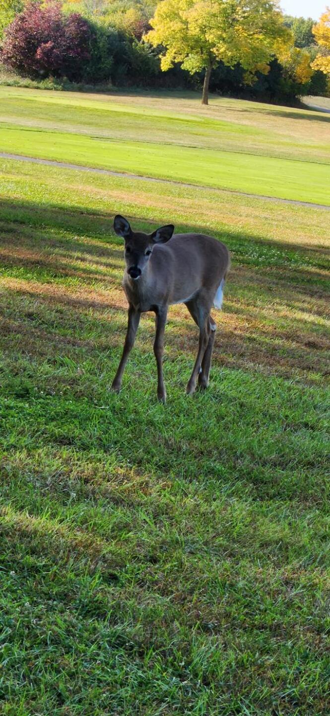 (Photo submitted by uYEMH9394YE on 10/10/2022)