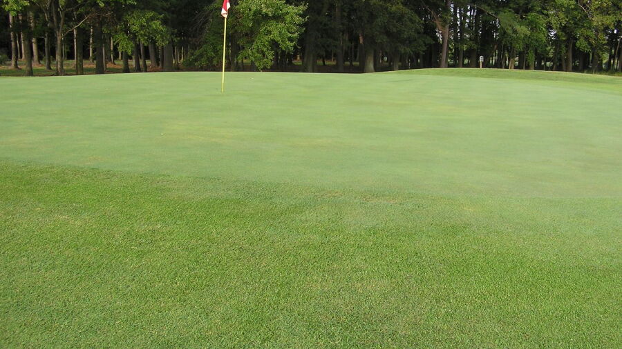 Cove Creek Club