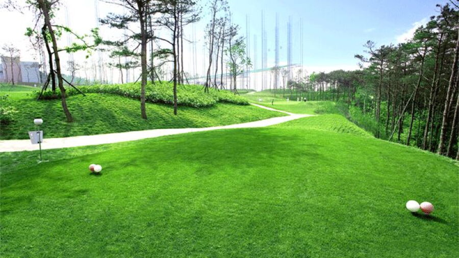 Seo Pyeongtaek GC: #17