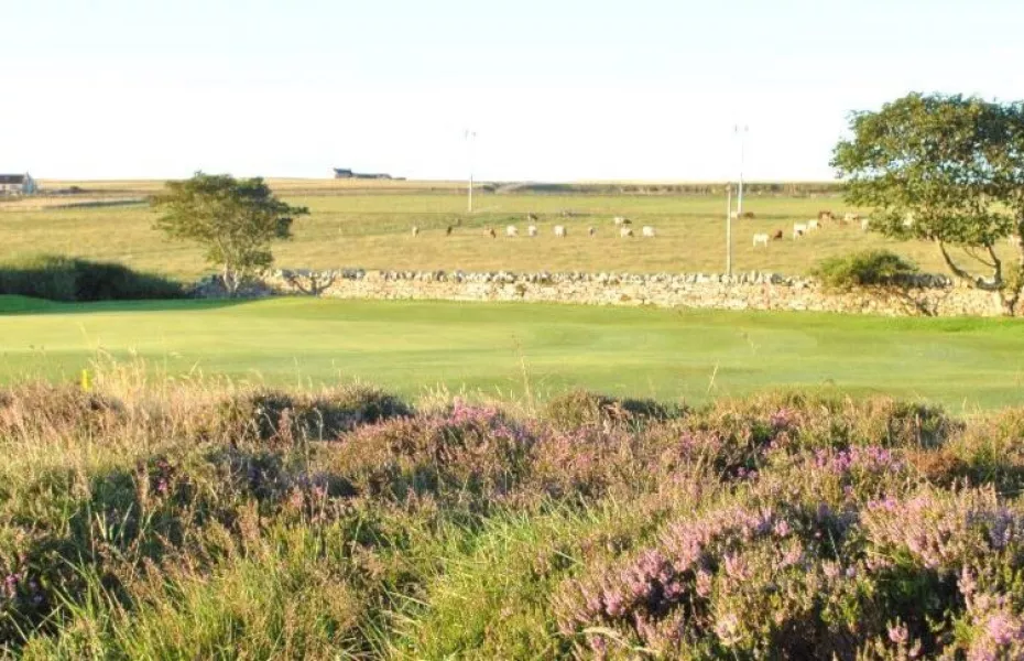 Orkney GC