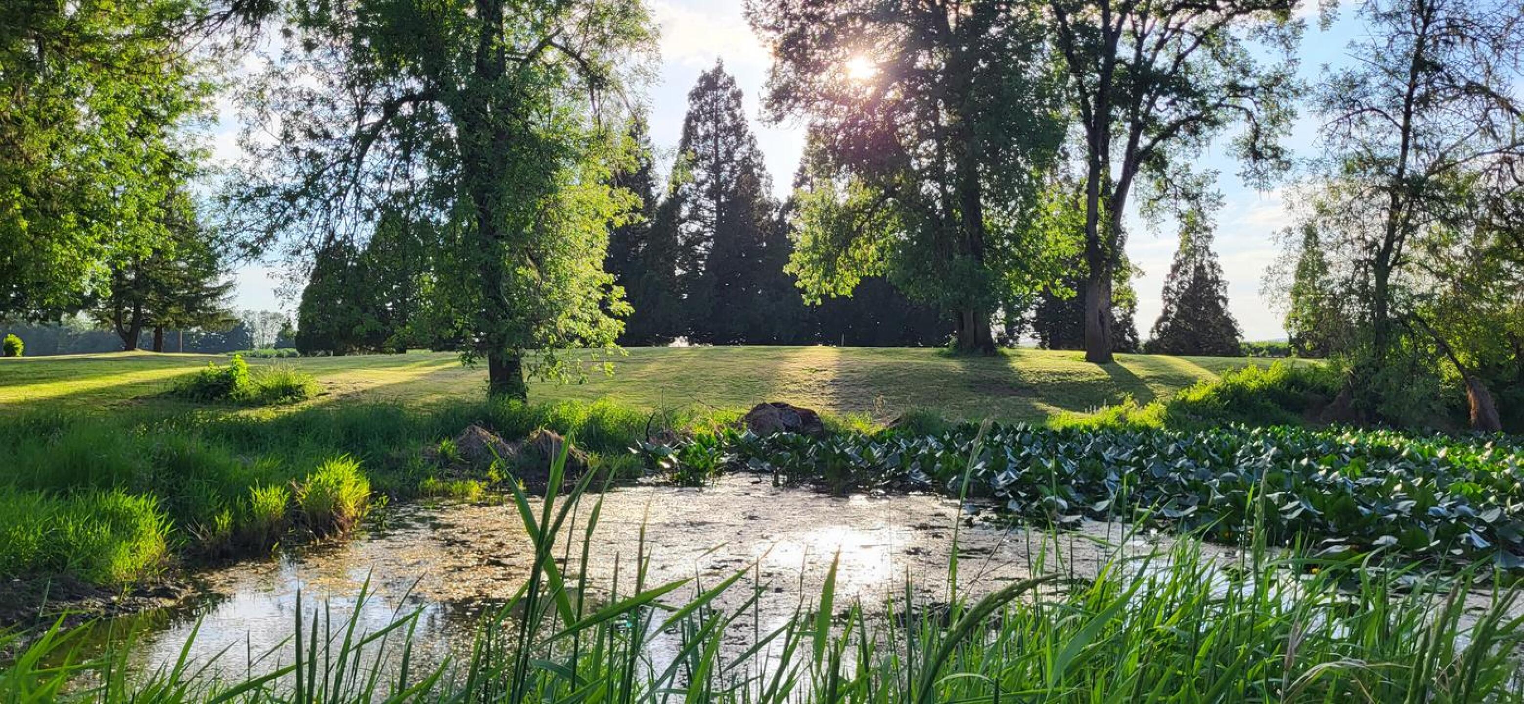 (Photo submitted by JEB03 on 06/06/2023)