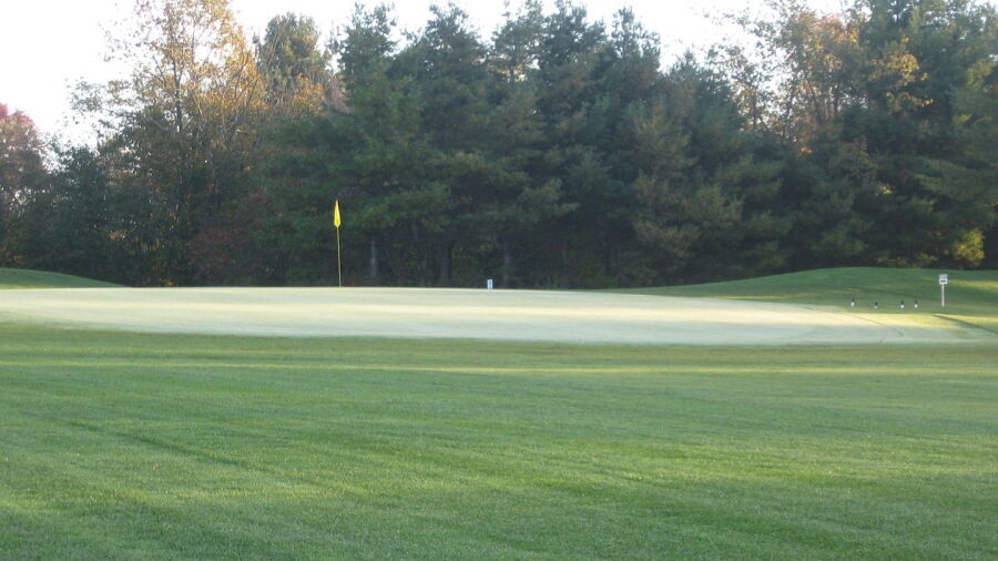 Eden GC: #6