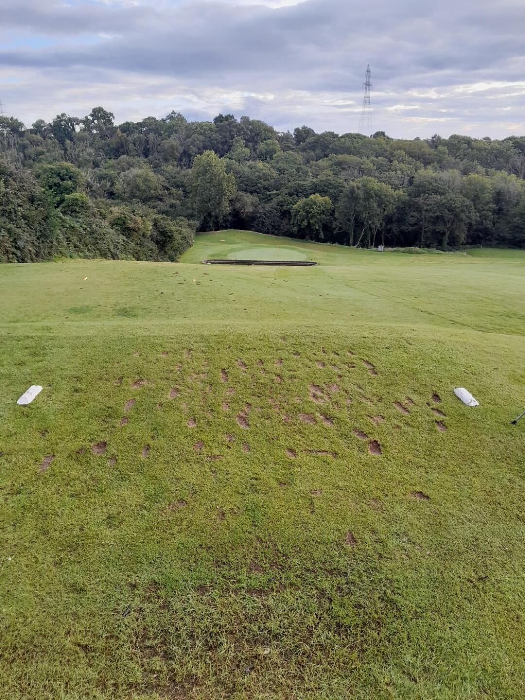 (Photo submitted by u314164337021 on 08/15/2023)