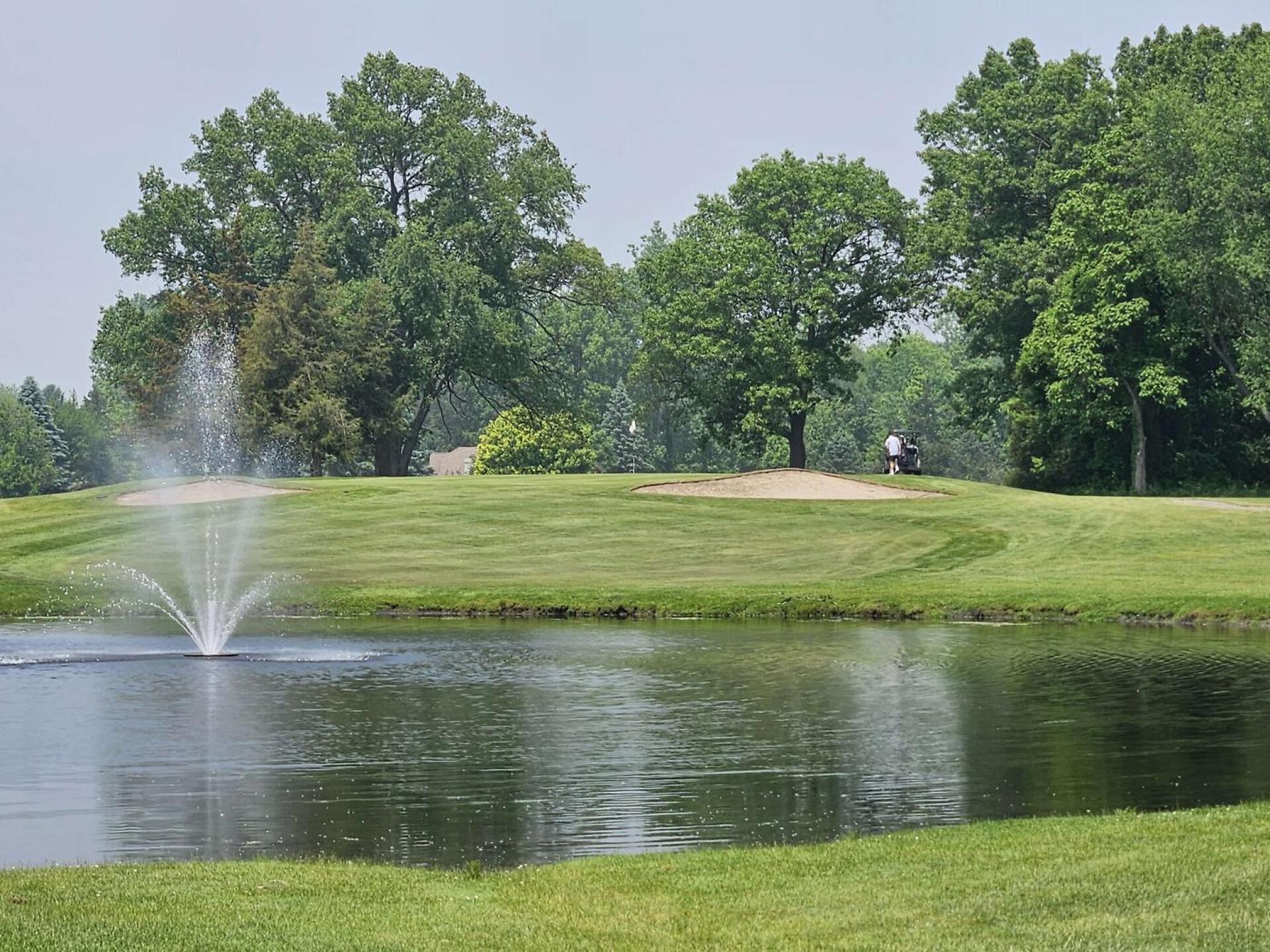 (Photo submitted by u314161622535 on 03/11/2026)