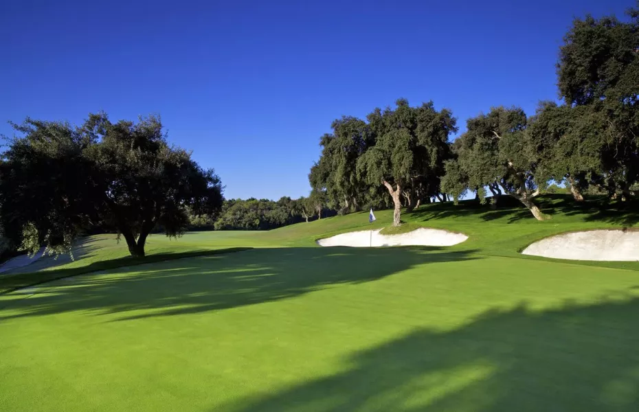 Valderrama: #5