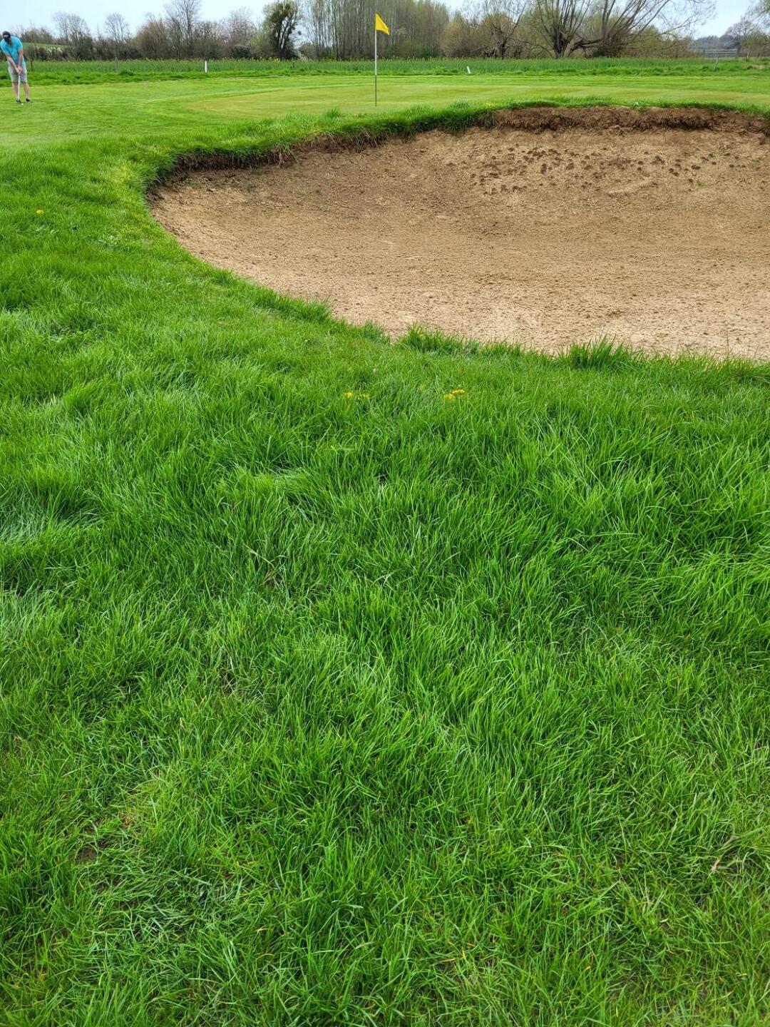 (Photo submitted by u314163820960 on 04/10/2023)