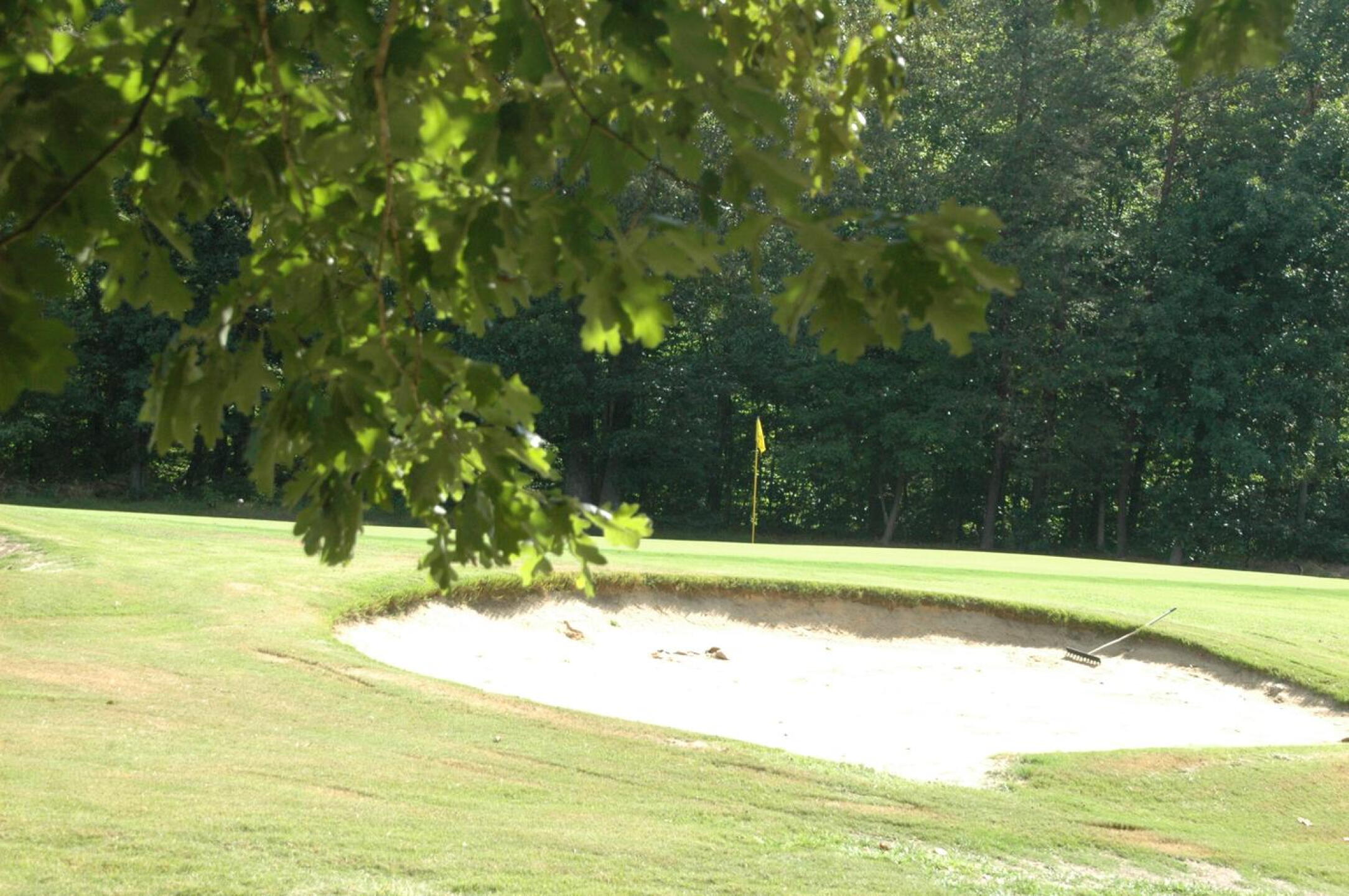 14th hole beauty (Photo submitted by celebrte1 on 07/28/2018)