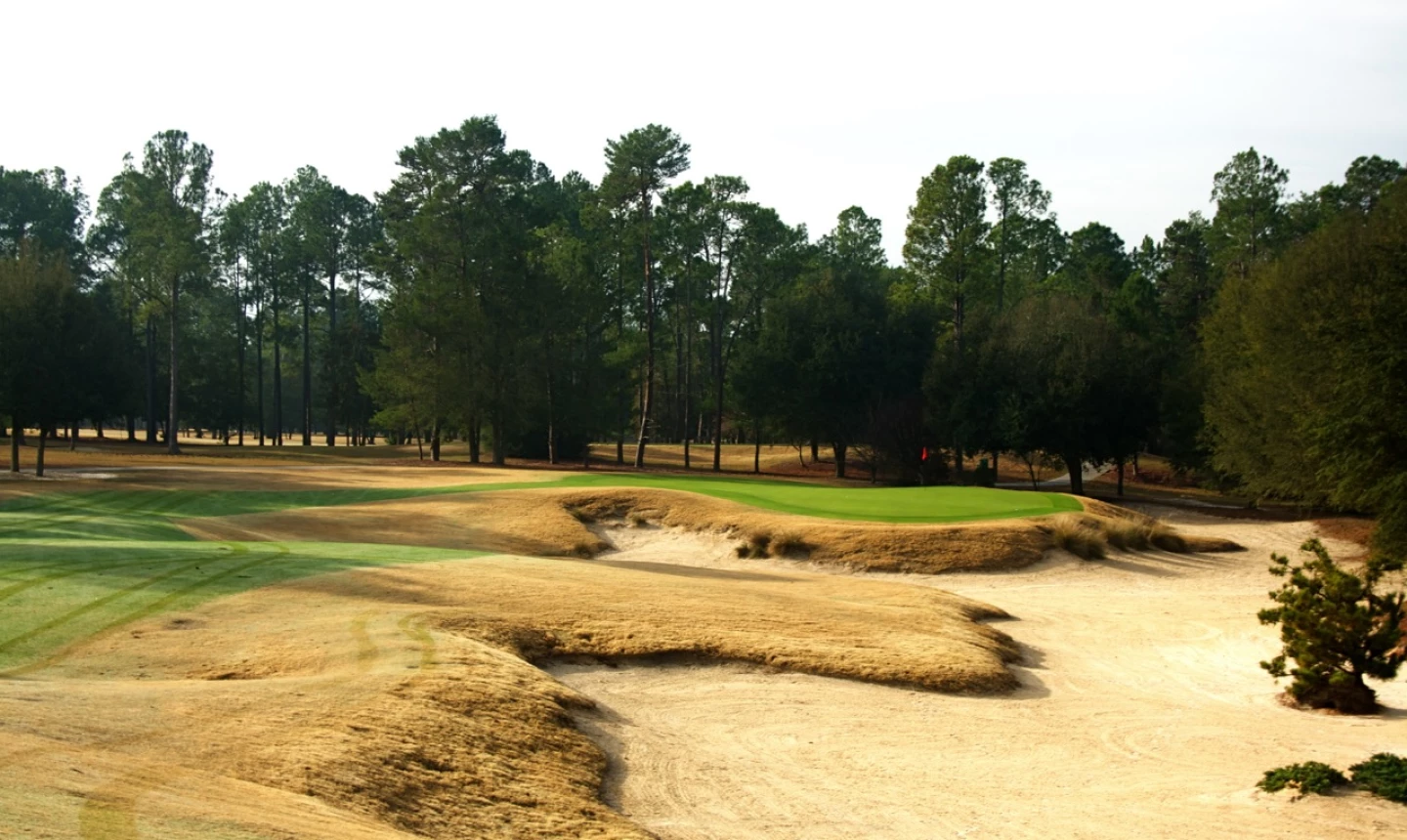World Woods Golf Club - Pine Barrens - hole 8