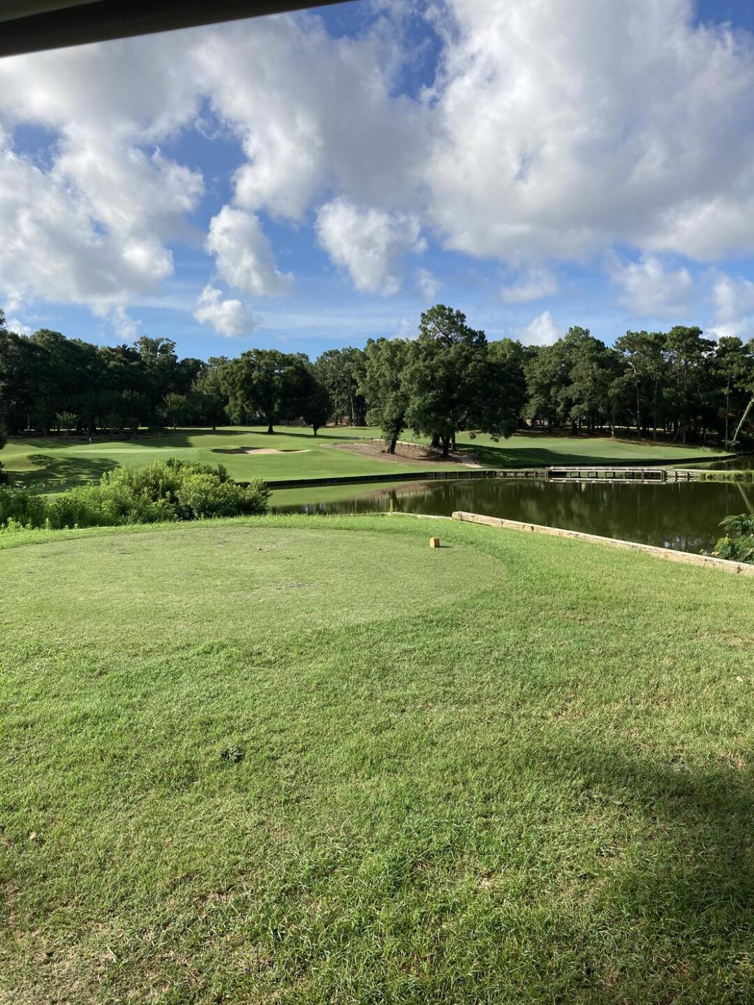 (Photo submitted by Gadawg10 on 07/08/2024)