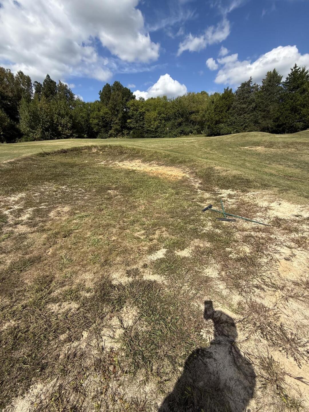 (Photo submitted by null on 10/17/2025)