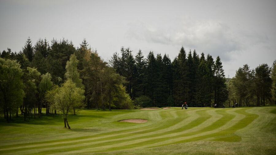 Old Course Ranfurly GC: #11